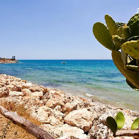 Couette-café Shining