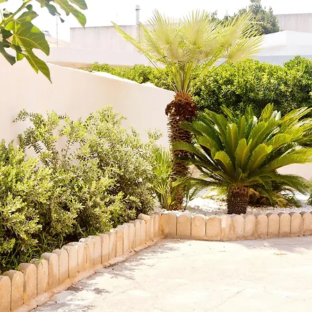 ベッド・アンド・ブレックファスト Shining